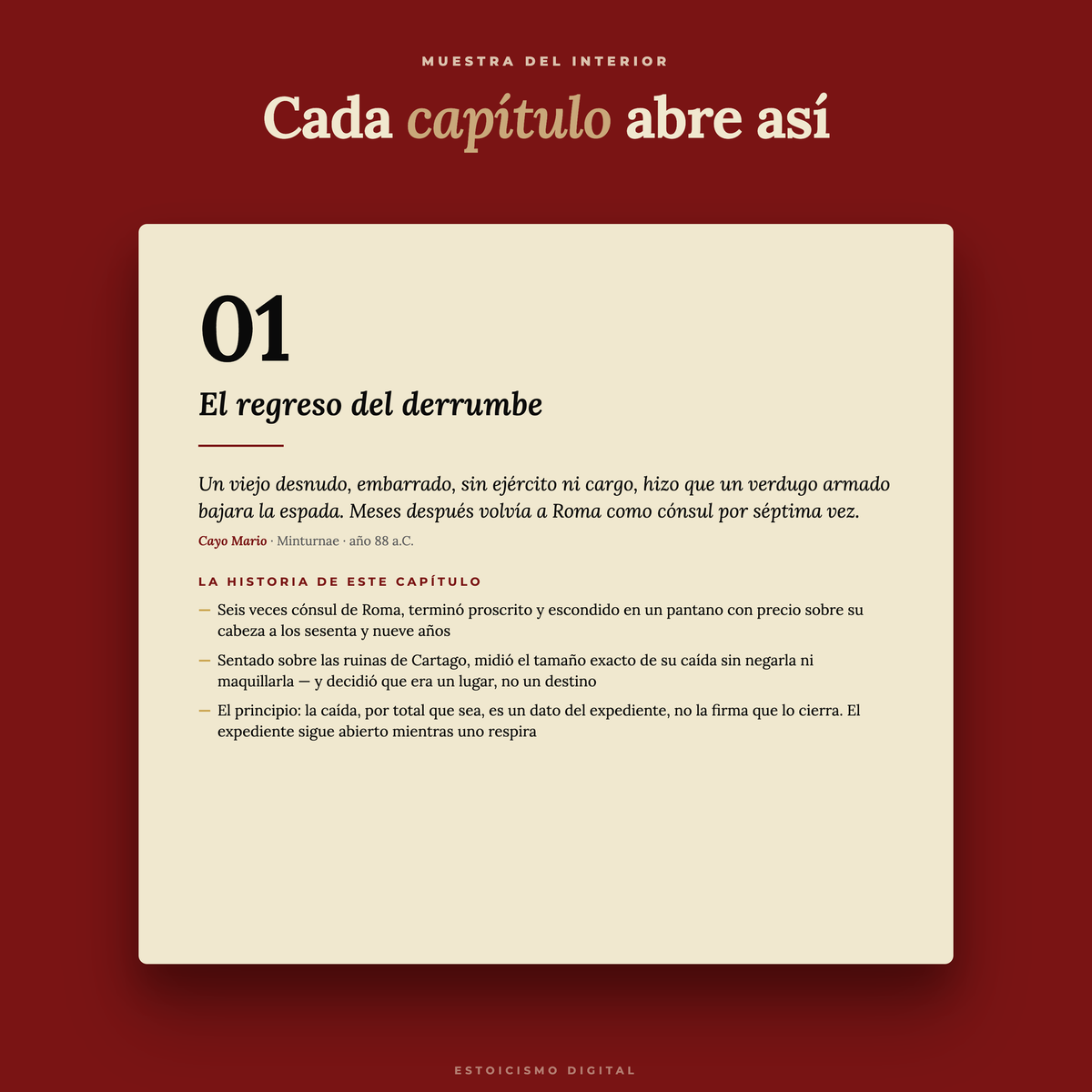 Resiliencia bajo Presión — vista 4