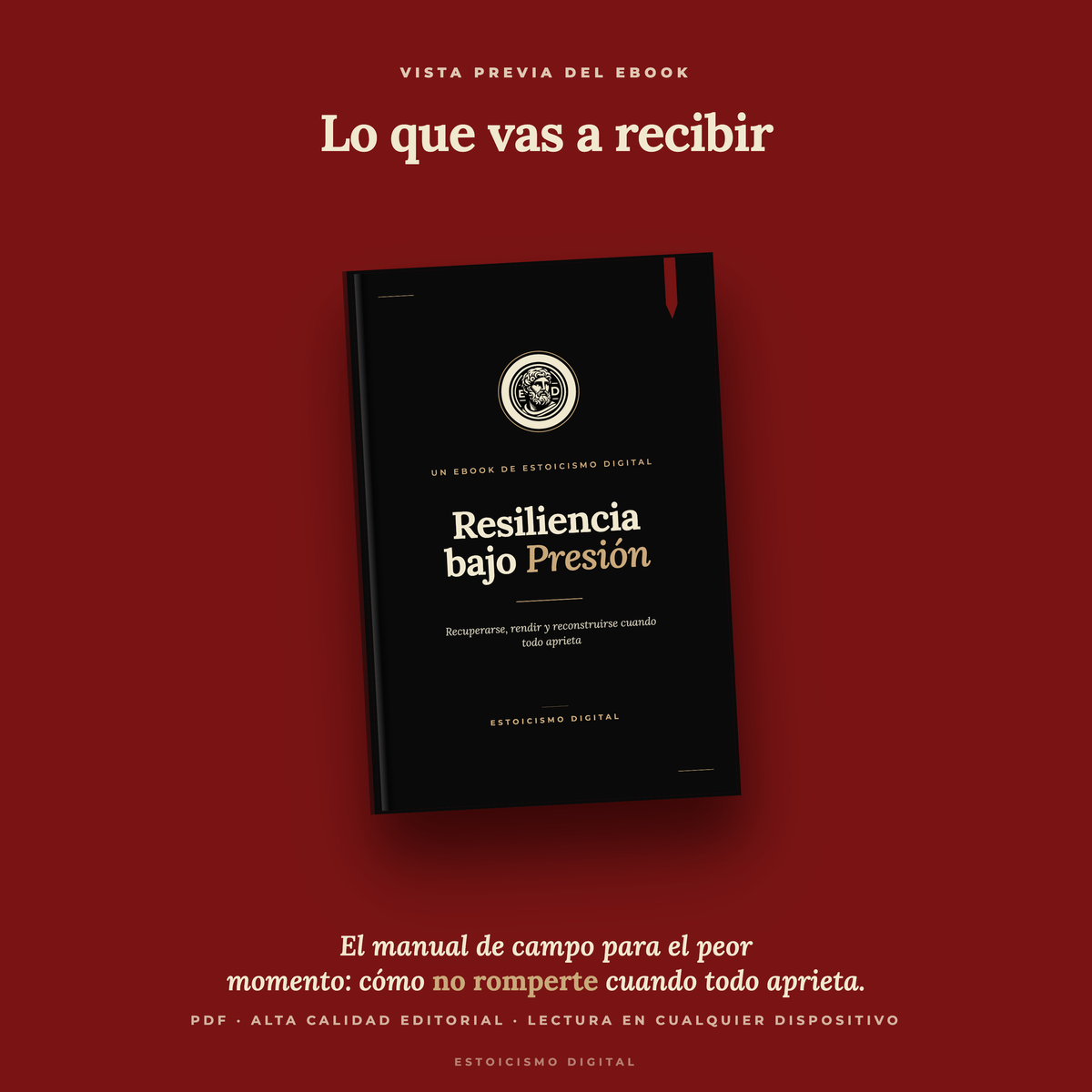 Resiliencia bajo Presión — vista 2