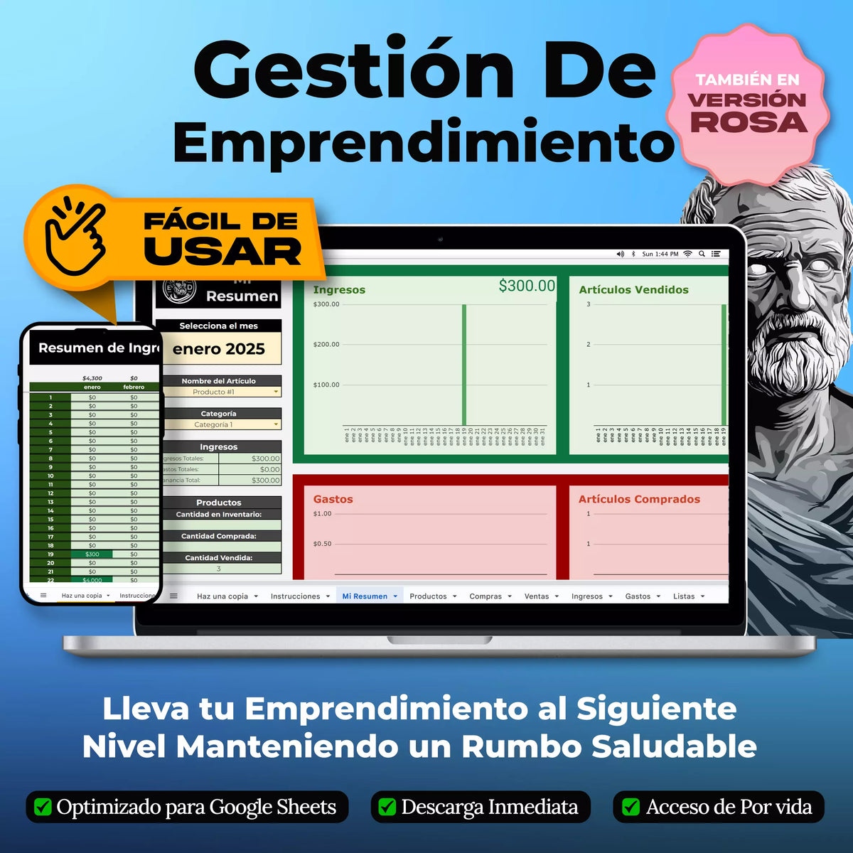Gestion de Emprendimiento