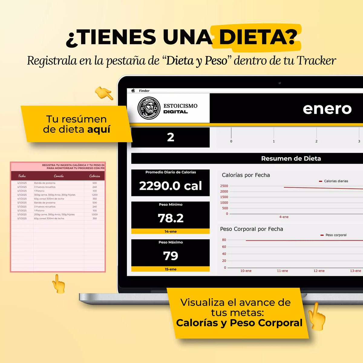 Tracker Fitness en Google Sheets mostrando registro de rutinas semanales, peso y progreso físico con gráficos (vista 2) — vista 2