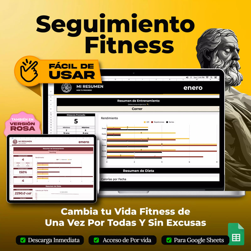 Plantilla Seguimiento Fitness Google Sheets - dashboard principal